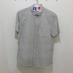 Slate Brown stripe casual Button Down